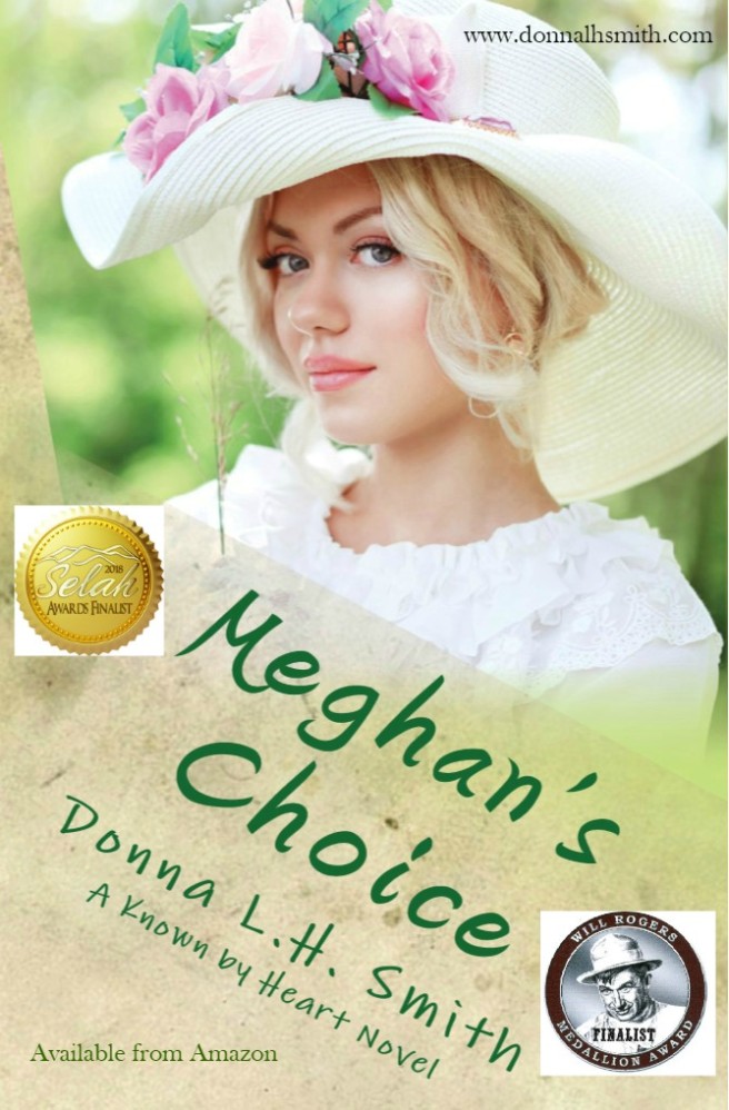 Meghan's Choice COVER Finalist
